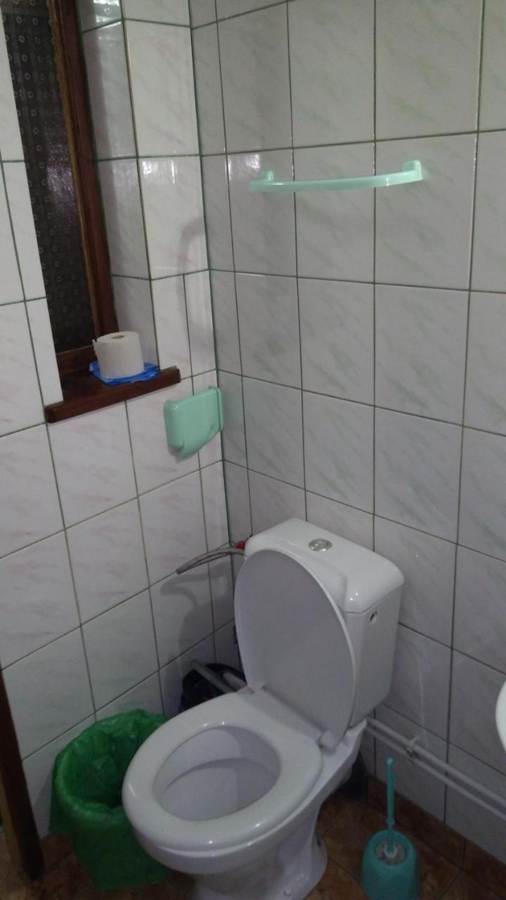 Базилік Люкс Apartment Yaremche Bagian luar foto